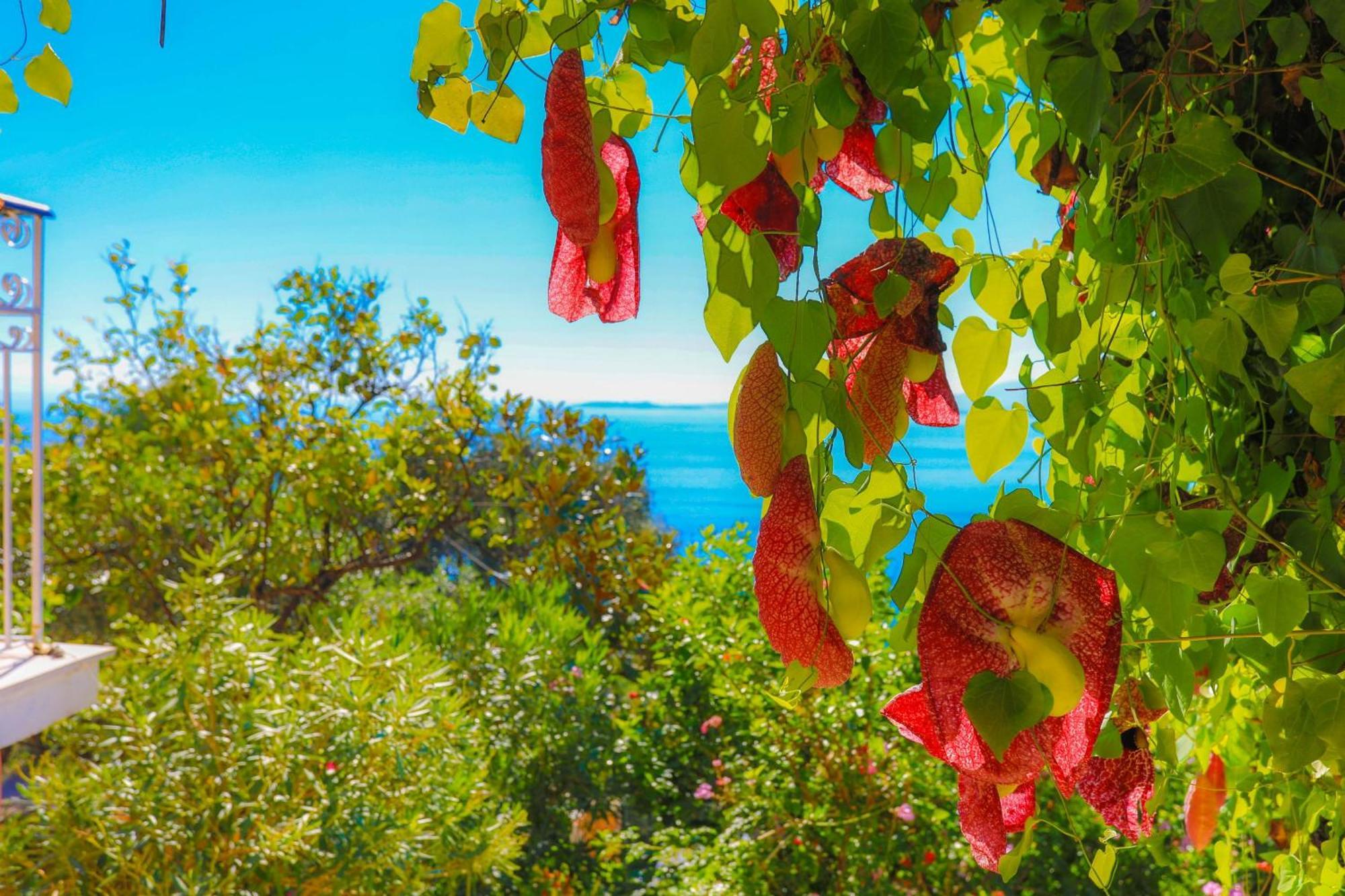Villa Nafsika Nisaki  Dış mekan fotoğraf