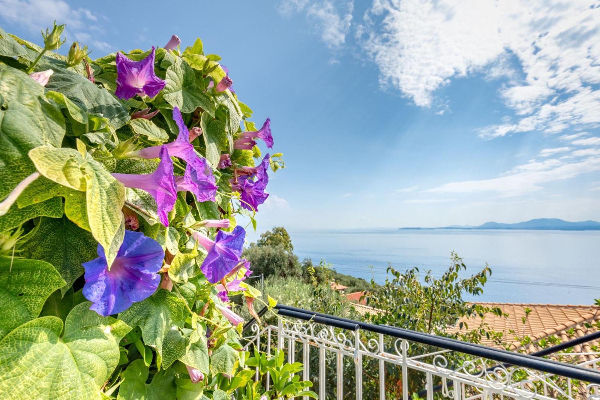 Villa Nafsika Nisaki  Dış mekan fotoğraf