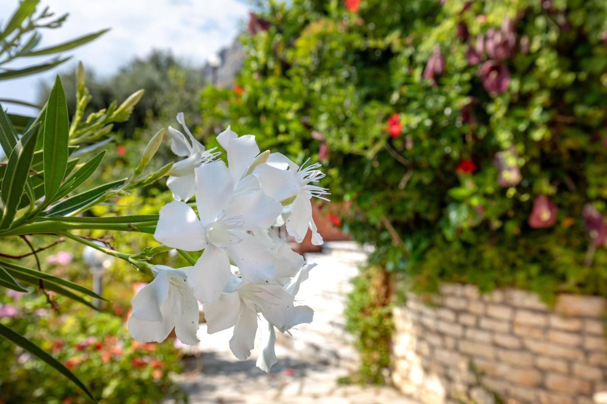 Villa Nafsika Nisaki  Dış mekan fotoğraf